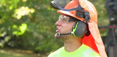 Forestry Application
