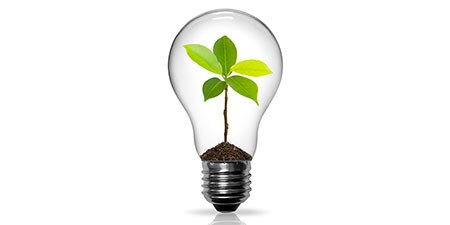 graphic of plant in lightbulb referencing sustainability
