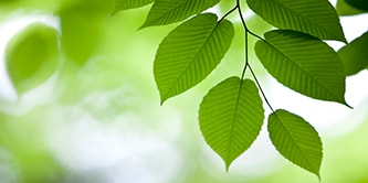 sustainable facility management products
